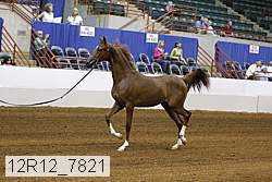 12r12_7821 thumbnail
