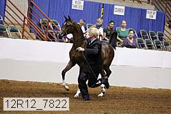 12r12_7822 thumbnail