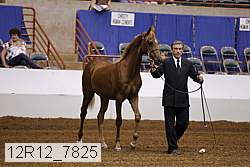 12r12_7825 thumbnail