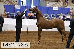12r12_7827 thumbnail