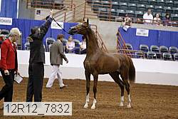 12r12_7832 thumbnail