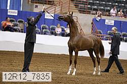 12r12_7835 thumbnail