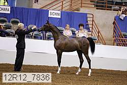 12r12_7836 thumbnail