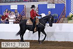 12r12_7903 thumbnail