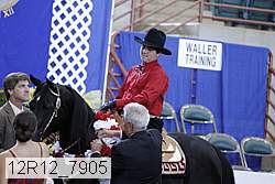 12r12_7905 thumbnail