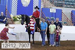 12r12_7907 thumbnail