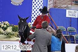 12r12_7909 thumbnail