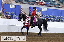 12r12_7910 thumbnail