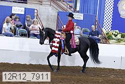 12r12_7911 thumbnail