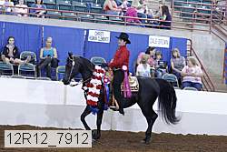 12r12_7912 thumbnail