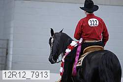 12r12_7913 thumbnail