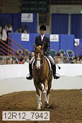 12r12_7942 thumbnail