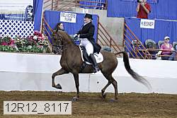 12r12_8117 thumbnail