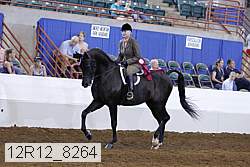 12r12_8264 thumbnail