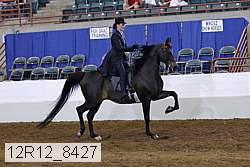12r12_8427 thumbnail
