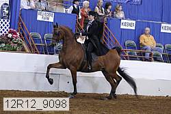 12r12_9098 thumbnail