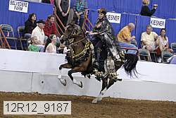 12r12_9187 thumbnail