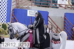 12r12_9210 thumbnail