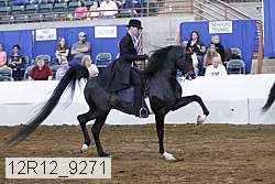 12r12_9271 thumbnail