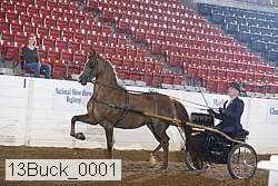 13buck_0001 thumbnail