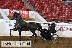 13buck_0004 thumbnail