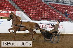 13buck_0005 thumbnail