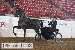 13buck_0008 thumbnail