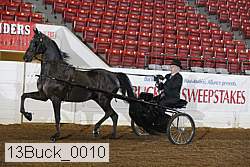 13buck_0010 thumbnail