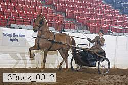 13buck_0012 thumbnail