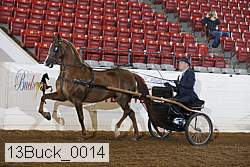 13buck_0014 thumbnail