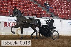13buck_0016 thumbnail