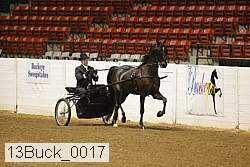 13buck_0017 thumbnail