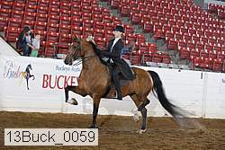 13buck_0059 thumbnail