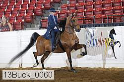 13buck_0060 thumbnail