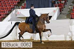 13buck_0062 thumbnail