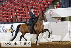 13buck_0063 thumbnail