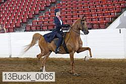 13buck_0065 thumbnail