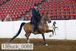 13buck_0066 thumbnail