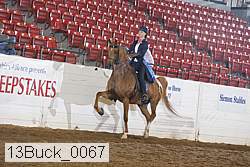 13buck_0067 thumbnail