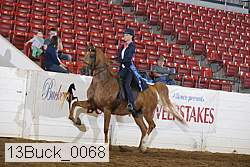 13buck_0068 thumbnail