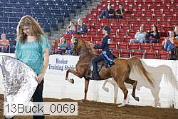 13buck_0069 thumbnail