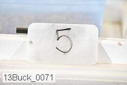 13buck_0071 thumbnail