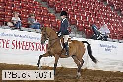 13buck_0091 thumbnail