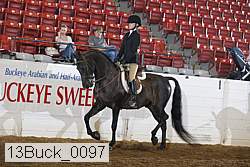 13buck_0097 thumbnail