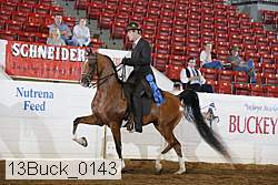 13buck_0143 thumbnail