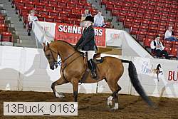 13buck_0163 thumbnail