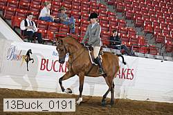 13buck_0191 thumbnail