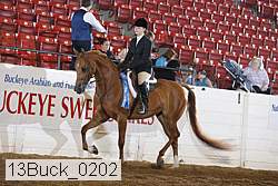 13buck_0202 thumbnail