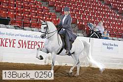 13buck_0250 thumbnail