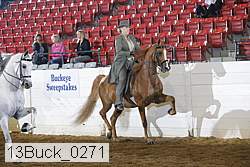 13buck_0271 thumbnail